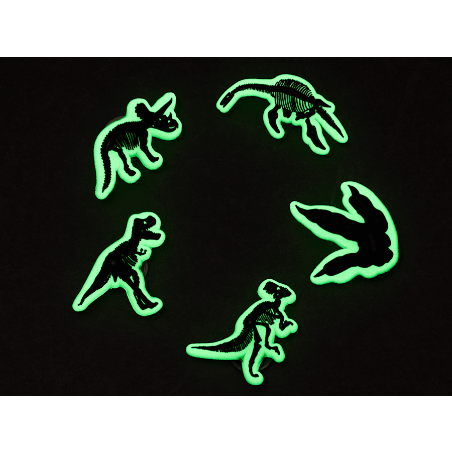 Glow In The Dark Dino 5 Pack Jibbitz Shoe Charm | Crocs on sale