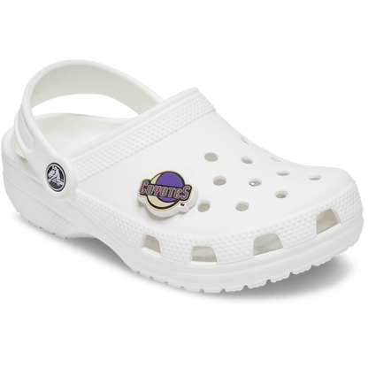 NHL® Arizona Coyotes® Jibbitz™ charms | Crocs US