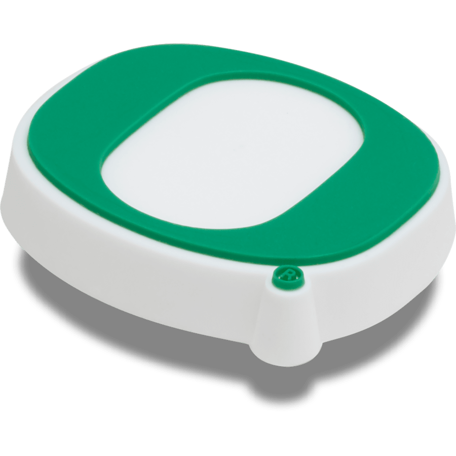 University of Oregon Jibbitz™ charms | Crocs sale