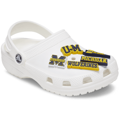 University of Michigan 5 Pack Jibbitz™ charms | Crocs sale