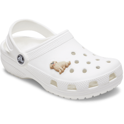 b'Golden Retriever Puppy Jibbitz Shoe Charm | Crocs' US