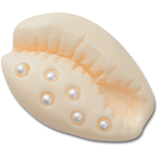 Pearl Puka Shell Jibbitz™ charms | Crocs online