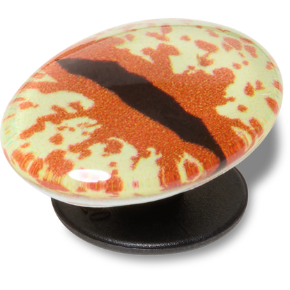Hazel Animal Eye Jibbitz™ charms | Crocs near me