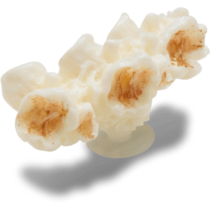 Realistic Popcorn 2 Jibbitz™ charms | Crocs on sale