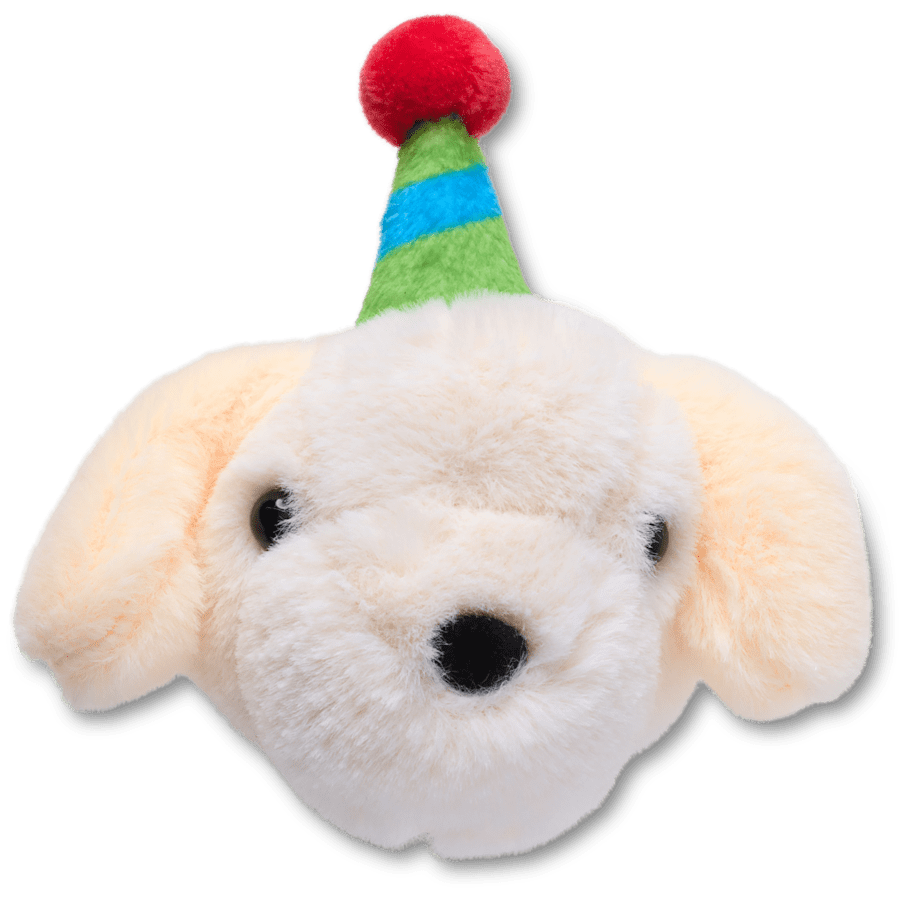 Record Your Own Sound Birthday Jibbitz™ charms | Crocs sale