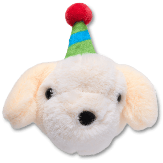 Record Your Own Sound Birthday Jibbitz™ charms | Crocs sale
