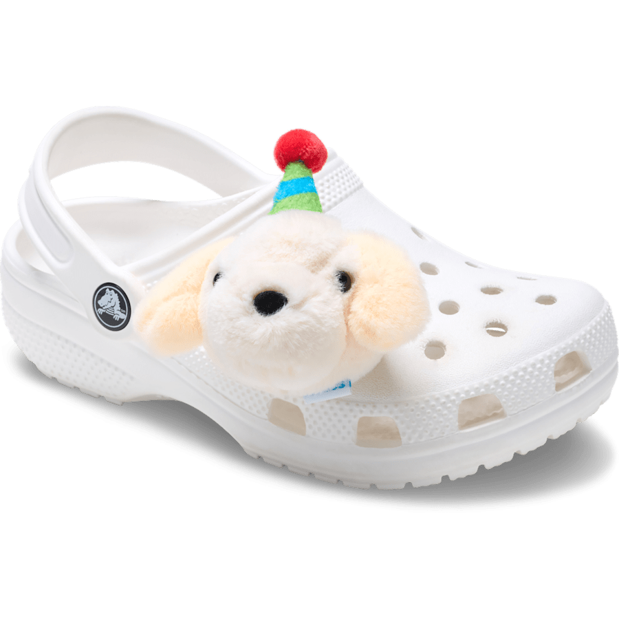 Record Your Own Sound Birthday Jibbitz™ charms | Crocs sale