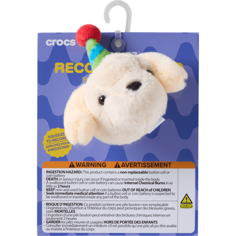 Record Your Own Sound Birthday Jibbitz™ charms | Crocs sale