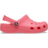 Guava