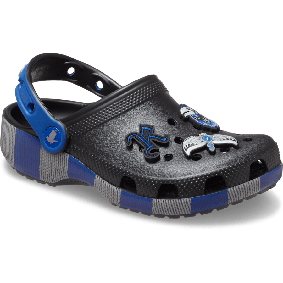 Kids' Harry Potter Ravenclaw Classic Clog | Crocs online